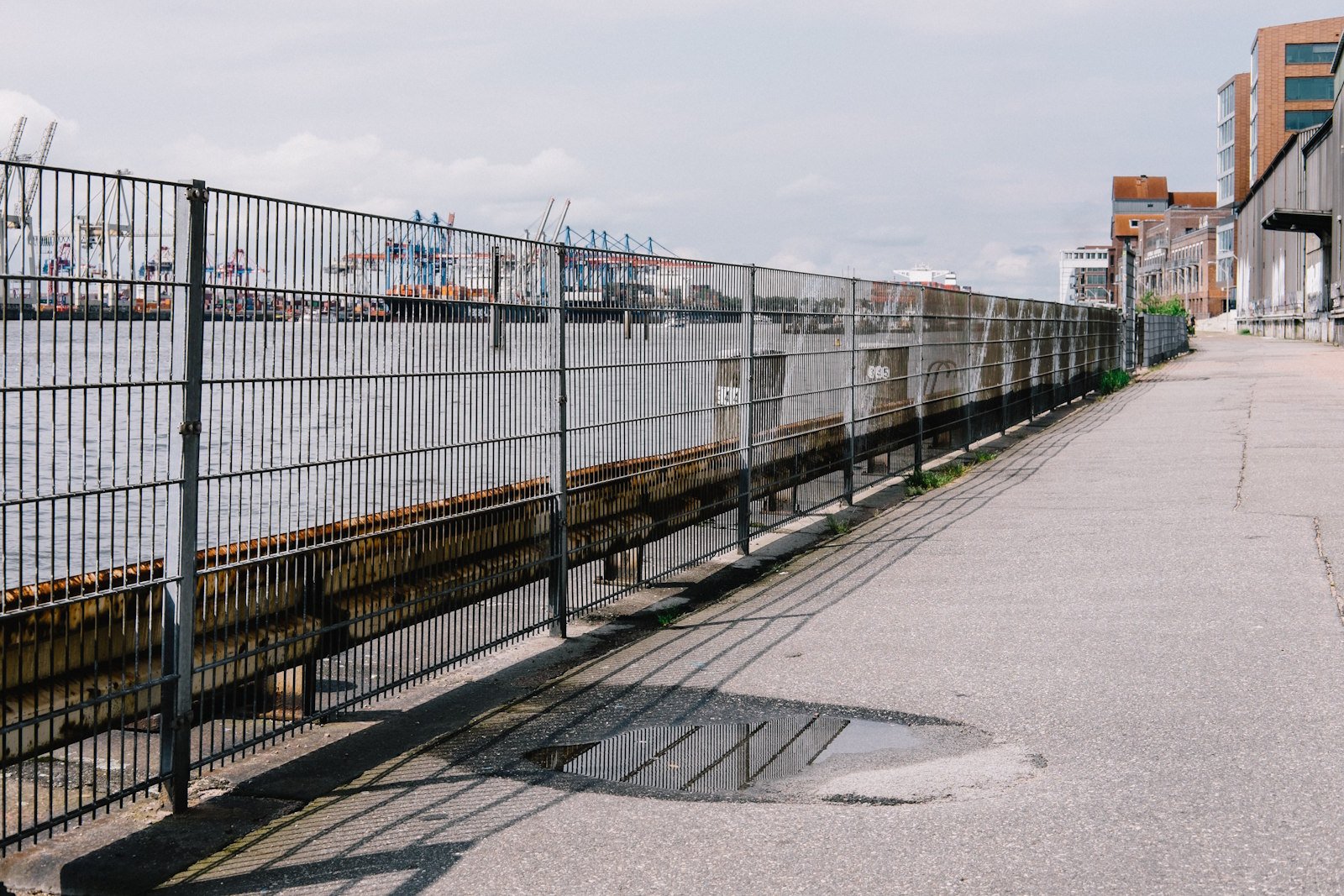 wynajem ogrodzeń budowlanych