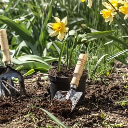 usługi ogrodnicze Dzierżoniów