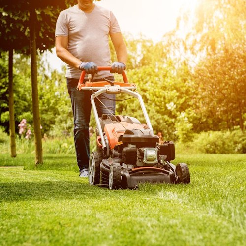 usługi ogrodnicze Grodków