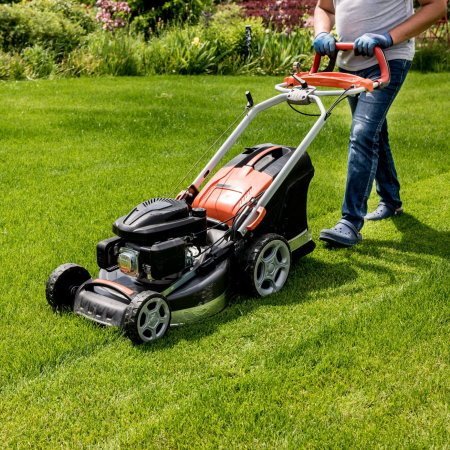 usługi ogrodnicze Oława