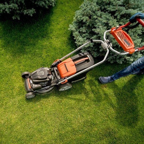 usługi ogrodnicze Ziębice