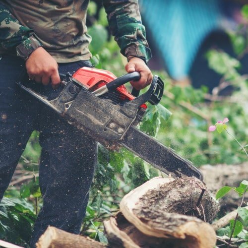 wycinka drzew Grodków